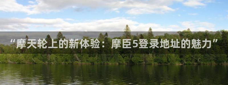 摩臣5平台3登录：“摩天轮上的新体验：摩臣5登录地址的魅力”