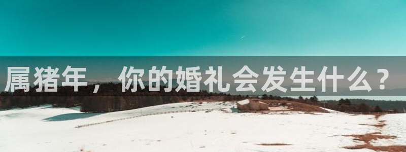 摩臣5平台体育凯捷代理注册：属猪年，你的婚礼会发生什么？