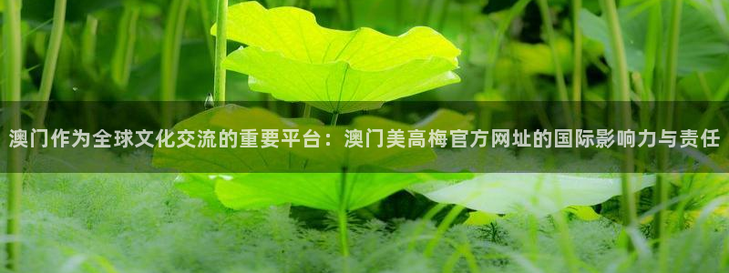 摩臣5平台是什么平台：澳门作为全球文化交流的重要平台：澳门美高梅官方网址的国际影