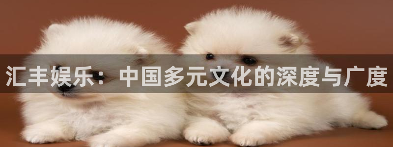 摩臣5平台下载二维码：汇丰娱乐：中国多元文化的深度与广度