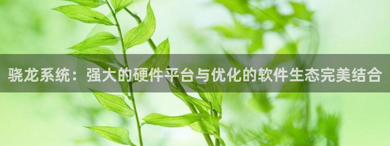 摩臣5平台官网版下载链接：骁龙系统：强大的硬件平台与优化的软件生态完美结合