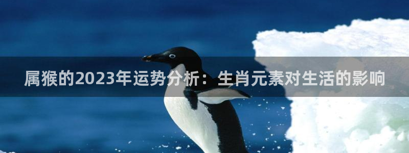 摩臣5平台5注册：属猴的2023年运势分析：生肖元素对生活的影响