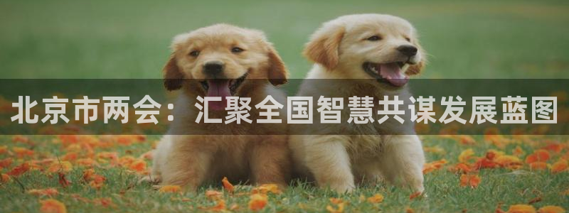 摩臣5平台ccm麻将胡了：北京市两会：汇聚全国智慧共谋发展蓝图