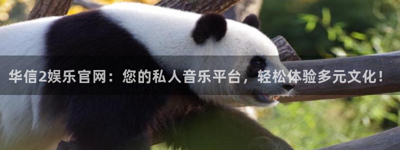摩臣5平台体育凯捷平台代理：华信2娱乐官网：您的私人音乐平台，轻松体验多元文化！