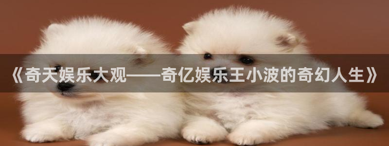 摩臣5平台体育老板是谁：《奇天娱乐大观——奇亿娱乐王小波的奇幻人生》