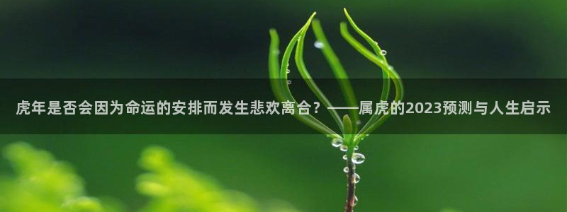 摩臣5平台平台招商：虎年是否会因为命运的安排而发生悲欢离合？——属虎的2023预