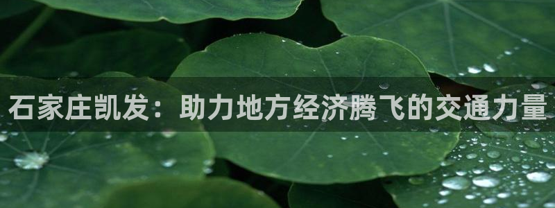 摩臣5平台包怎么样：石家庄凯发：助力地方经济腾飞的交通力量
