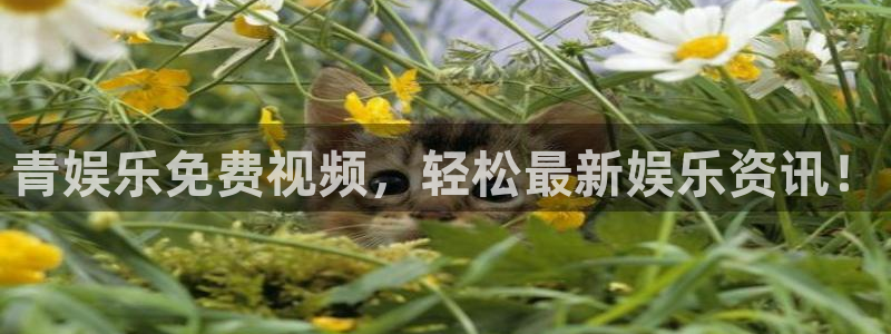摩臣5平台游戏试玩：青娱乐免费视频，轻松最新娱乐资讯！