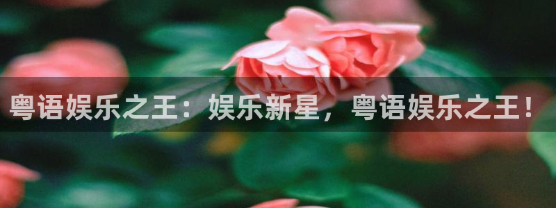 摩臣5平台4开户：粤语娱乐之王：娱乐新星，粤语娱乐之王！
