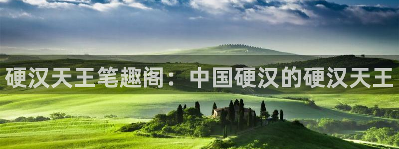 摩臣5平台体育娱乐注册链接：硬汉天王笔趣阁：中国硬汉的硬汉天王