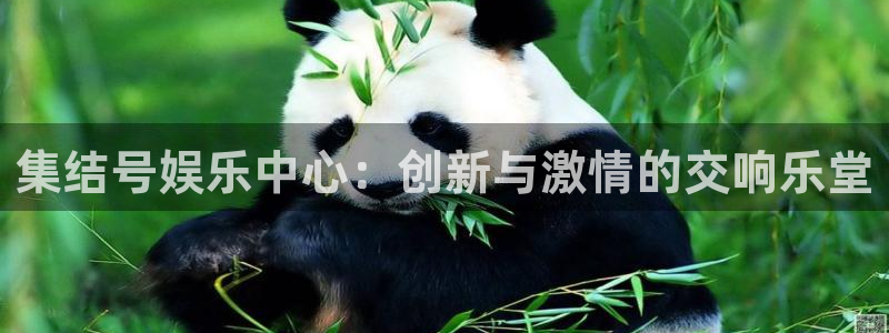 摩臣5平台下载链接是多少：集结号娱乐中心：创新与激情的交响乐堂