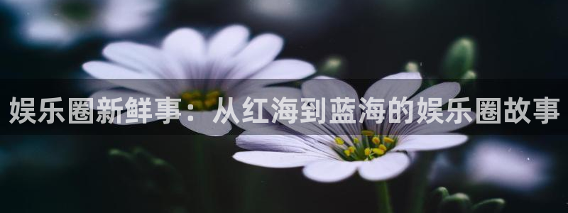 摩臣5平台体育在线注册：娱乐圈新鲜事：从红海到蓝海的娱乐圈故事