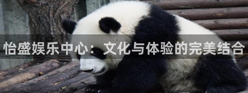 摩臣5平台官方网站：怡盛娱乐中心：文化与体验的完美结合