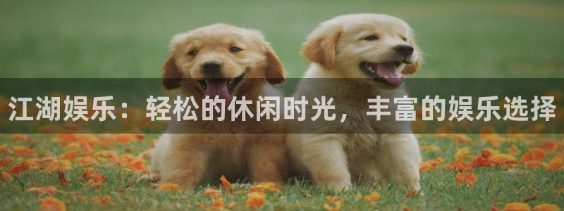 摩臣5平台注册网站链接：江湖娱乐：轻松的休闲时光，丰富的娱乐选择