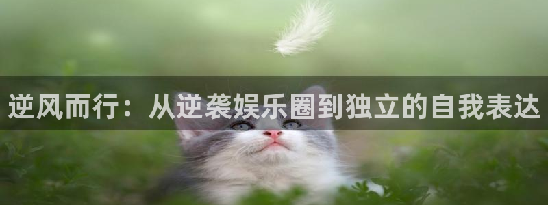 摩臣5平台加拿大下载：逆风而行：从逆袭娱乐圈到独立的自我表达