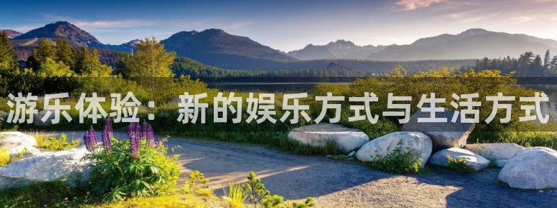摩臣5平台体育f开户：游乐体验：新的娱乐方式与生活方式
