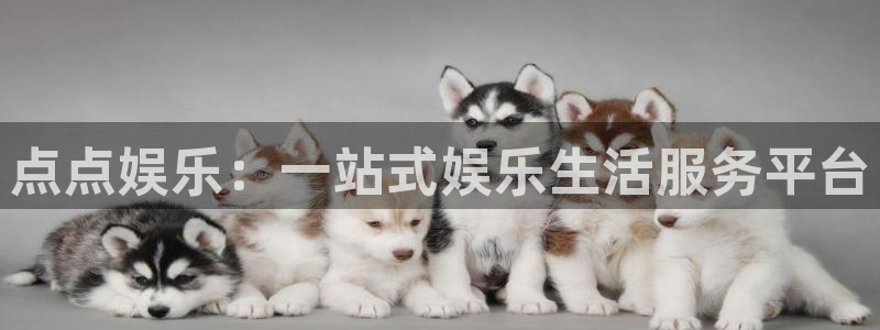 摩臣5平台2体育登录入口：点点娱乐：一站式娱乐生活服务平台
