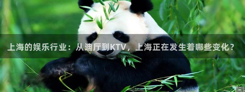 摩臣5平台注册链接：上海的娱乐行业：从迪厅到KTV，上海正在发生着哪些变化？