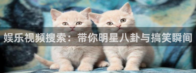 摩臣5平台平台管网入口