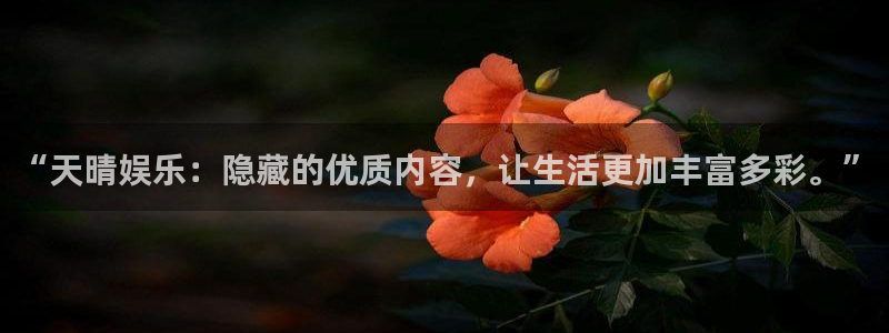 摩臣5平台.ccmpc登录：“天晴娱乐：隐藏的优质内容，让生活更加丰富多彩。”
