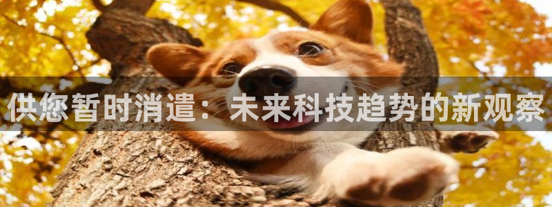 摩臣5平台麻将胡了
