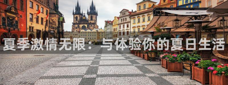 摩臣5平台体育1招商
