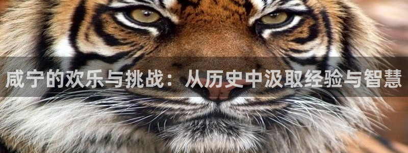 摩臣5平台ccm赏金女王：咸宁的欢乐与挑战：从历史中汲取经验与智慧