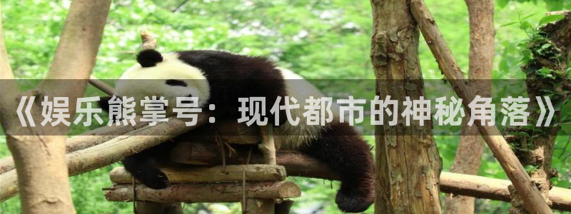 摩臣5平台3登陆：《娱乐熊掌号：现代都市的神秘角落》