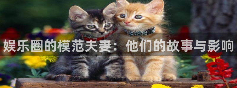 摩臣5平台.ccmpc正版：娱乐圈的模范夫妻：他们的故事与影响